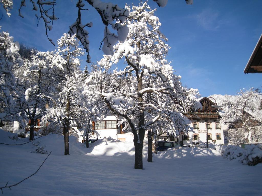 Gasthof Piburger See 호텔 외치 외부 사진