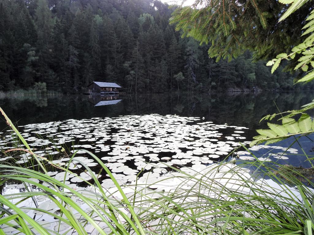 Gasthof Piburger See 호텔 외치 외부 사진