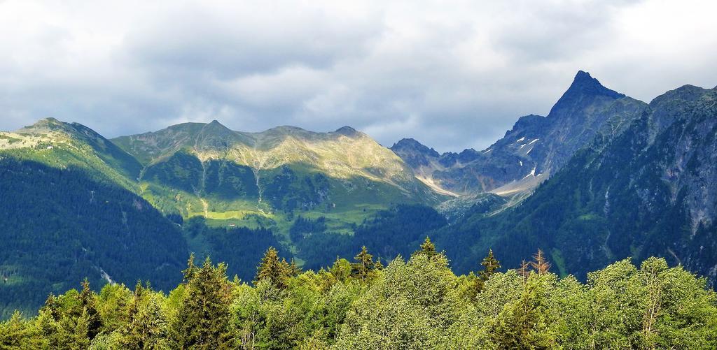 Gasthof Piburger See 호텔 외치 외부 사진