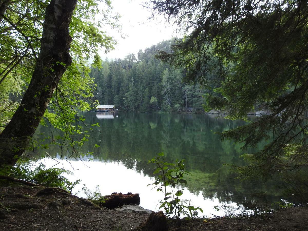 Gasthof Piburger See 호텔 외치 외부 사진